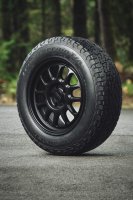 BFGoodrich Trail-Terrain T/A+ däck